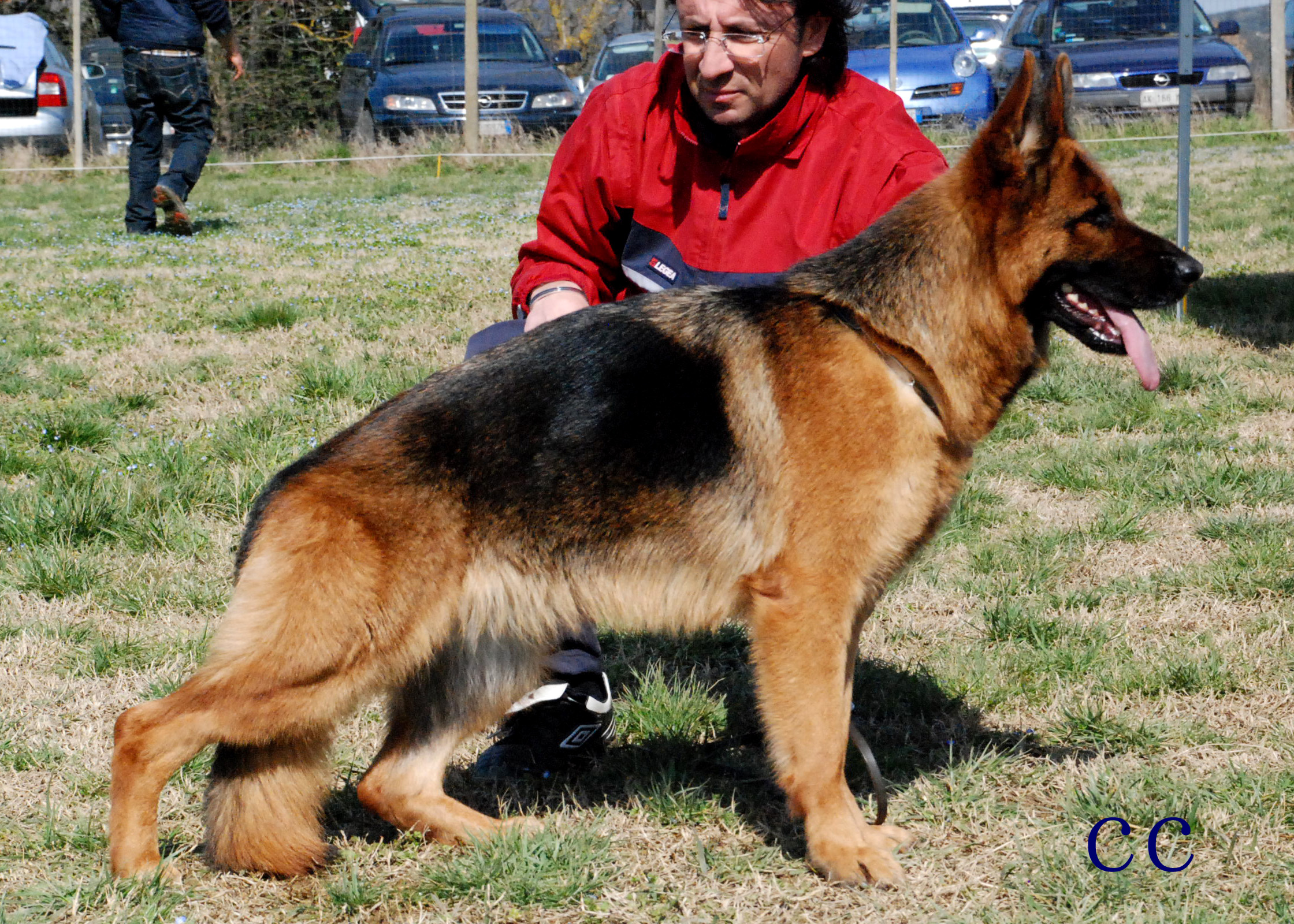 Pastori Tedeschi Nettuno Roma Von Blanka Della Gens Pontina